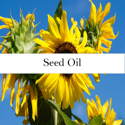 Seed Oil - Sunflower